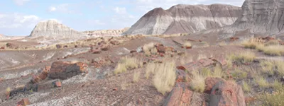 Petrified Forest National Park