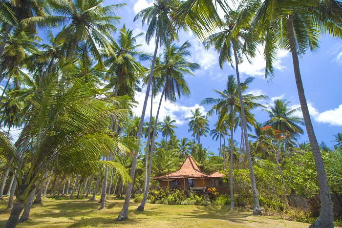 Palmenstrand mit Strandhaus - Insel Ozeanien