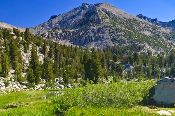 Berge und Bäume im Kings-Canyon-Nationalpark