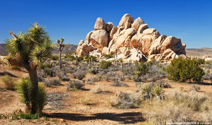 Panorama, Landschaftsbild der Mojave Desert CA