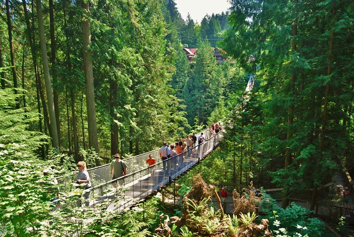 Betrieb auf der Capilano Suspension Bridge