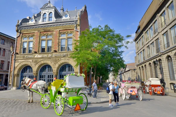 Pferdegespanne - altstadt von Montreal