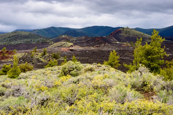 Lavakegel und Pflanzenwuchs in karger Landschaft - Idaho