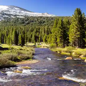 Tioga Pass Yosemite