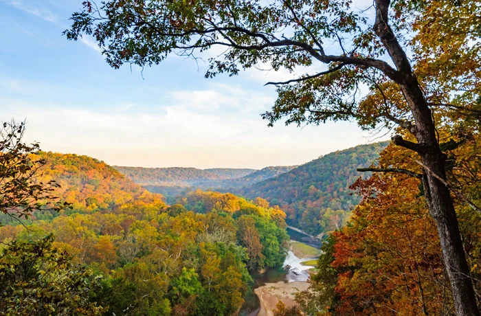 Waldlandschaft - Flusslandschaft - Mammoth Cave Kentucky