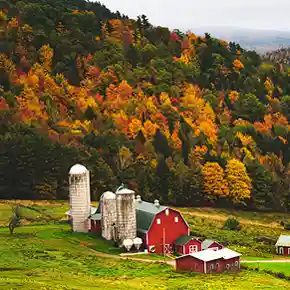 Farm in Staat New York