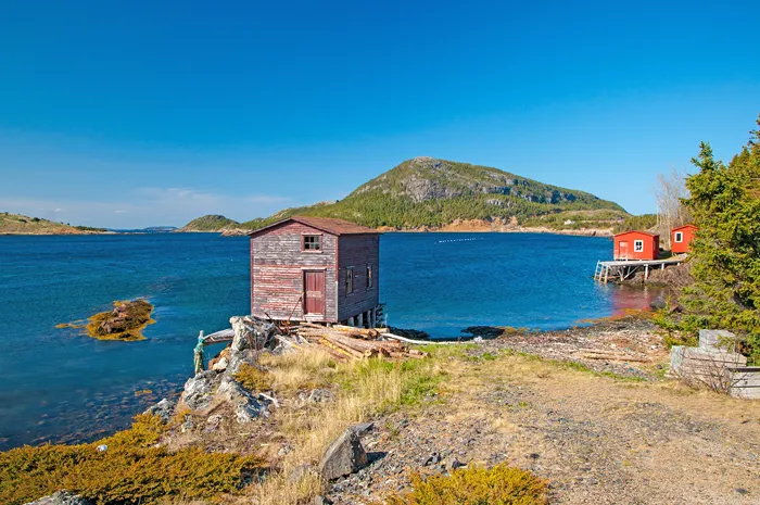 Kleine Holzhäuser im Terra Nova Nationalpark