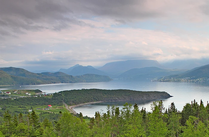 Grüne, waldreiche Küste im Terra-Nova-Nationalpark