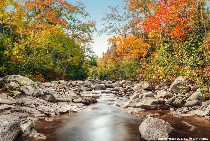 Steiniger Wildbach im Cape-Breton-Highlands-Nationalpark