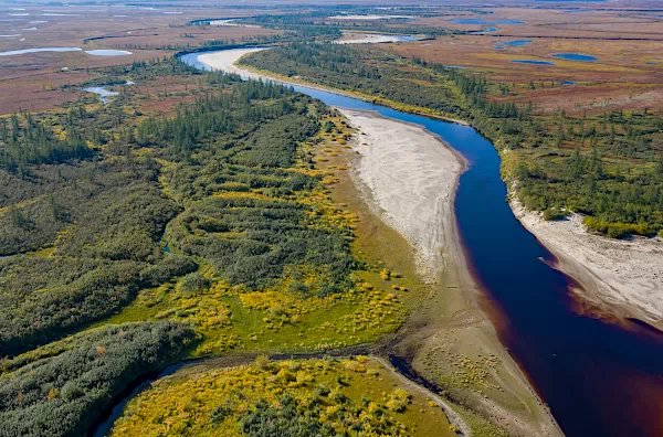 Tundra in Kanada - Borealer Wald und Seenlandschaft