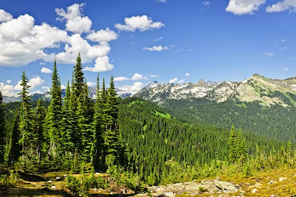 Gebirgslandschaft im Mount-Revelstoke-Nationalpark