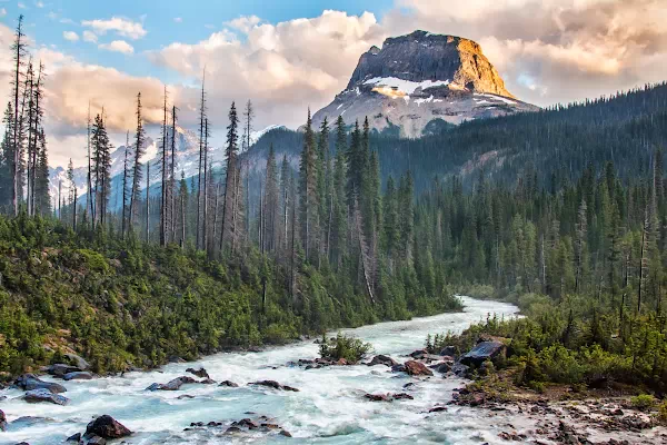 Wapta Mountain zwischen Emerald Lake und Yoho Valley im Nationalpark