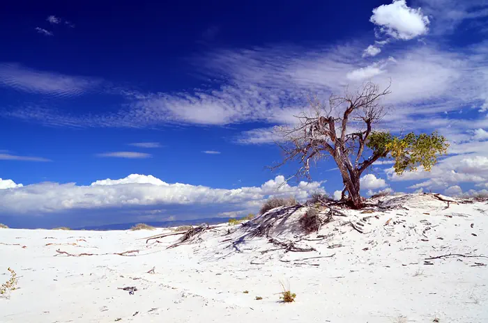 Dünenlandschaft - White Sands - New Mexico