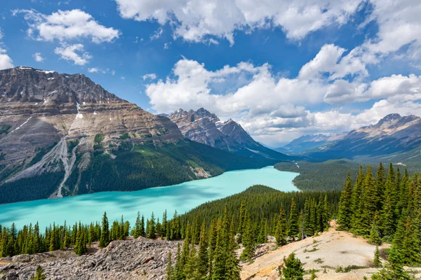 Peyto Lake in Alberta