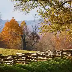 Indian Summer in North Carolina