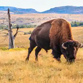 Wichita Mountains, Oklahoma