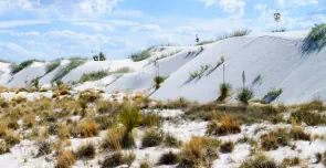 Düne White Sands